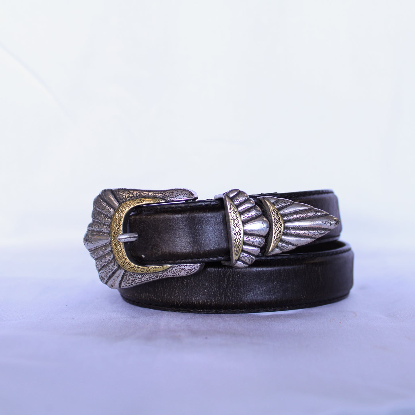 Black Belt with Silver and Gold Buckle
